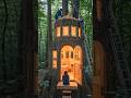 “I Built a House Inside a Tree Stump… FULL TIMELAPSE” #shorts #timelapse #satisfying #yt