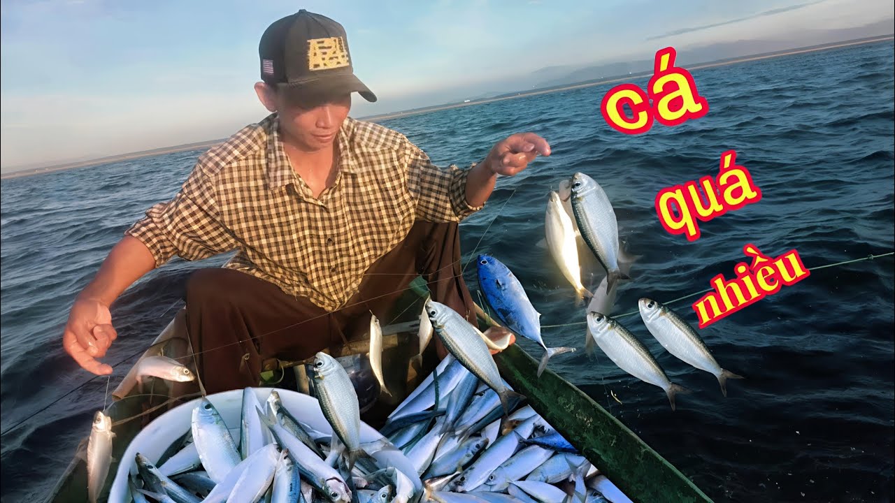 Quá nhiều cá trích - dành nhau ăn câu, hôm nay đàm bội thu...
