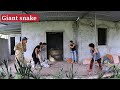 The creepy sound of a giant snake came from the abandoned house