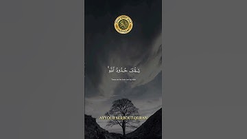 سورة النساء الآية 13 تلاوة شيخ الدوسري #اكسبلور