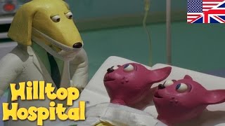 Hilltop Hospital   Siamese Twins S04e11 Hd  Cartoon For Kids