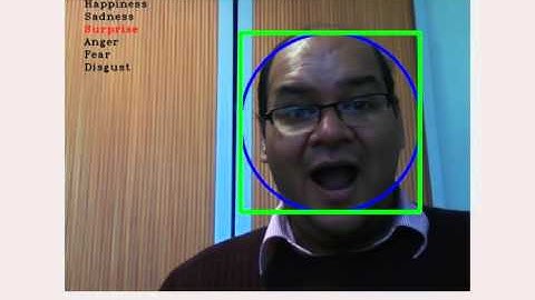 Real time facial expressions recognition