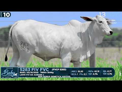 LOTE 10   FVCP 5283