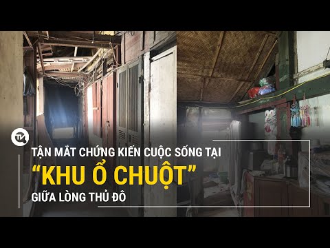 Video: Khu ổ chuột đô thị là gì?