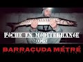 Nous pchons un norme barracuda du bordfishing  bigfishbarracudamditerrane