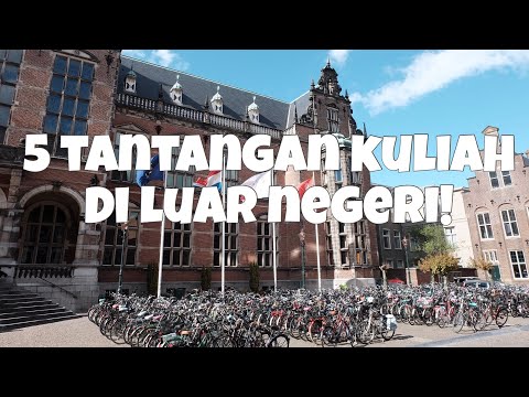 Video: Cara Lulus Ujian Kreatif Dalam Bidang Kewartawanan Di Universiti Negeri St Petersburg