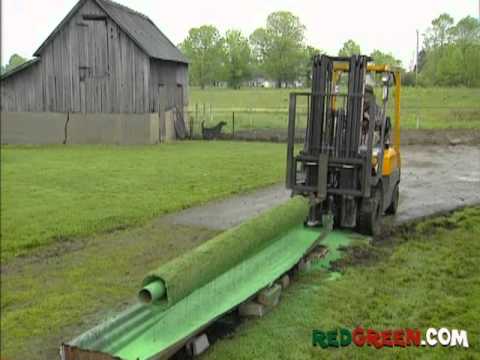 Handyman Tip "Carpet Paint Roller"