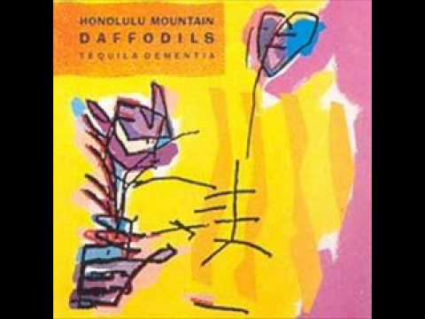 Honolulu Mountain Daffodils  'Collector Of Souls'  1988