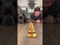 Dog Won in Seconds ⏱️🐕 #dog #cat #eatingchallenge #food #pets