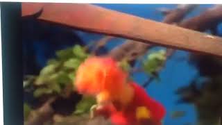 Red Fall Down From 39 Stairs