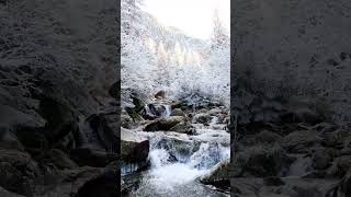 Winter Stream &amp; Waterfalls | Nature Sounds #nature #wintersounds #forest #waterfall #relaxing