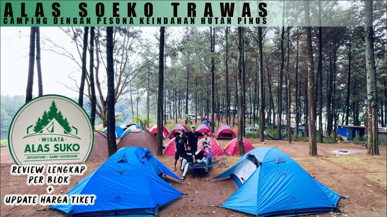Alas Soeko Trawas || Camping in this area is a must for a more romantic experience!
