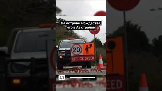 Главные видео 23 октября #новости #будапешт #крабы