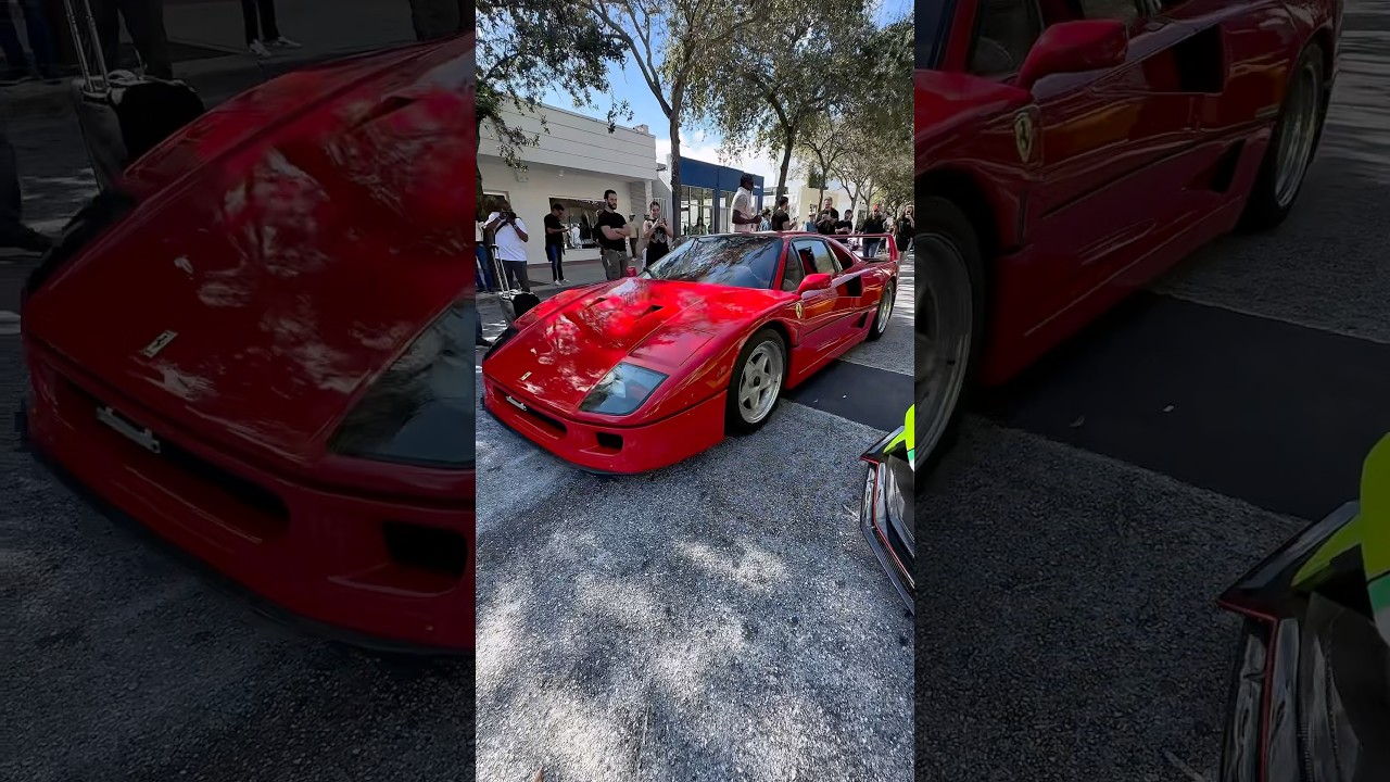Ferrari F40 #supercar #ferrari #dreamcar #miami #rare #speed #car Ferrari F40 #supercar #ferrari #dreamcar #miami #rare #speed #car