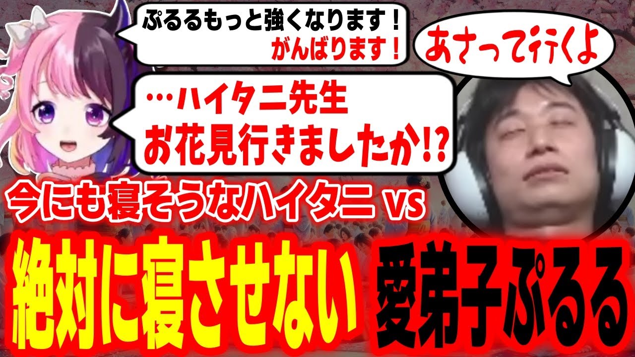 V最二次会解散後、今にも寝そうなハイタニにマシンガントークを仕掛けて寝させない愛弟子ぷるる【天鬼ぷるる ハイタニ】【SF6 スト6 ストリートファイター6】