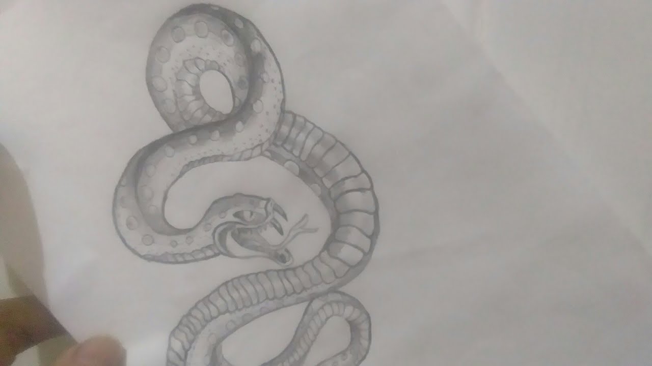 Tập vẽ rắn hổ mang (2) | Vẽ hình xăm rắn | Hình xăm tattoo - YouTube