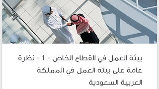 بيئة العمل في القطاع الخاص ١ نظرة عامة على بيئة العمل في المملكة العربية السعودية
