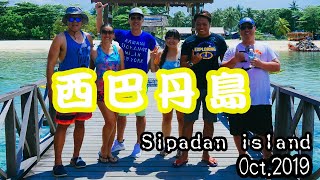 3rd西巴丹島Sipadan island馬來西亞潛水天堂,隆頭鸚哥,傑克 ...