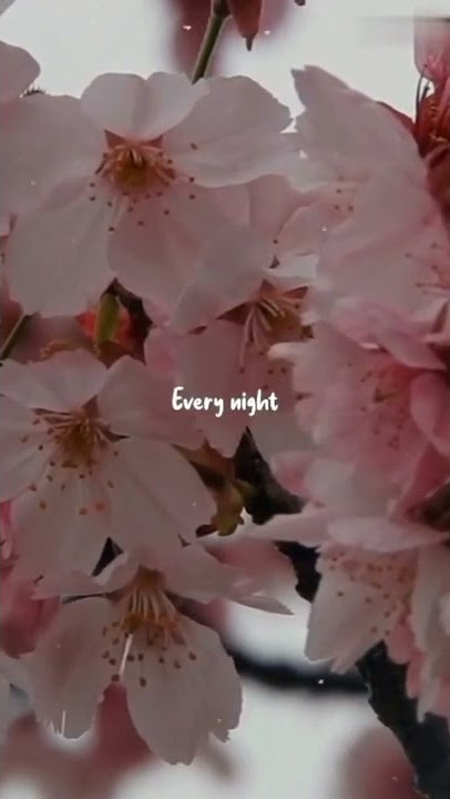 Lagu barat viral dan keren sekali #shorts