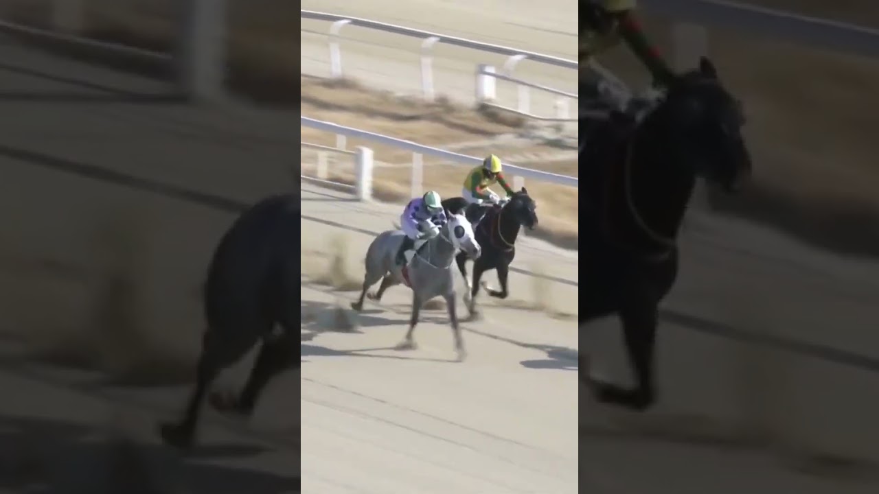 41배적중3-9네방으로