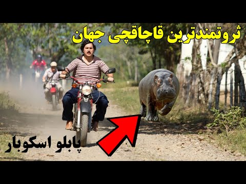 تصویری: واگنر مورا: بیوگرافی و فیلم‌شناسی