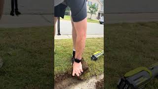This thing makes sidewalks and flower beds look CLEAN clean