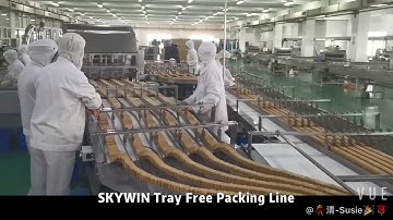 Biscuit Trayless Packing Line