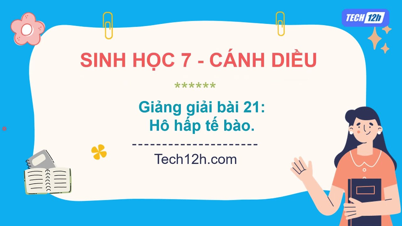 Giảng bài 21: Hô hấp tế bào | Bài giảng Sinh học 7 Cánh diều