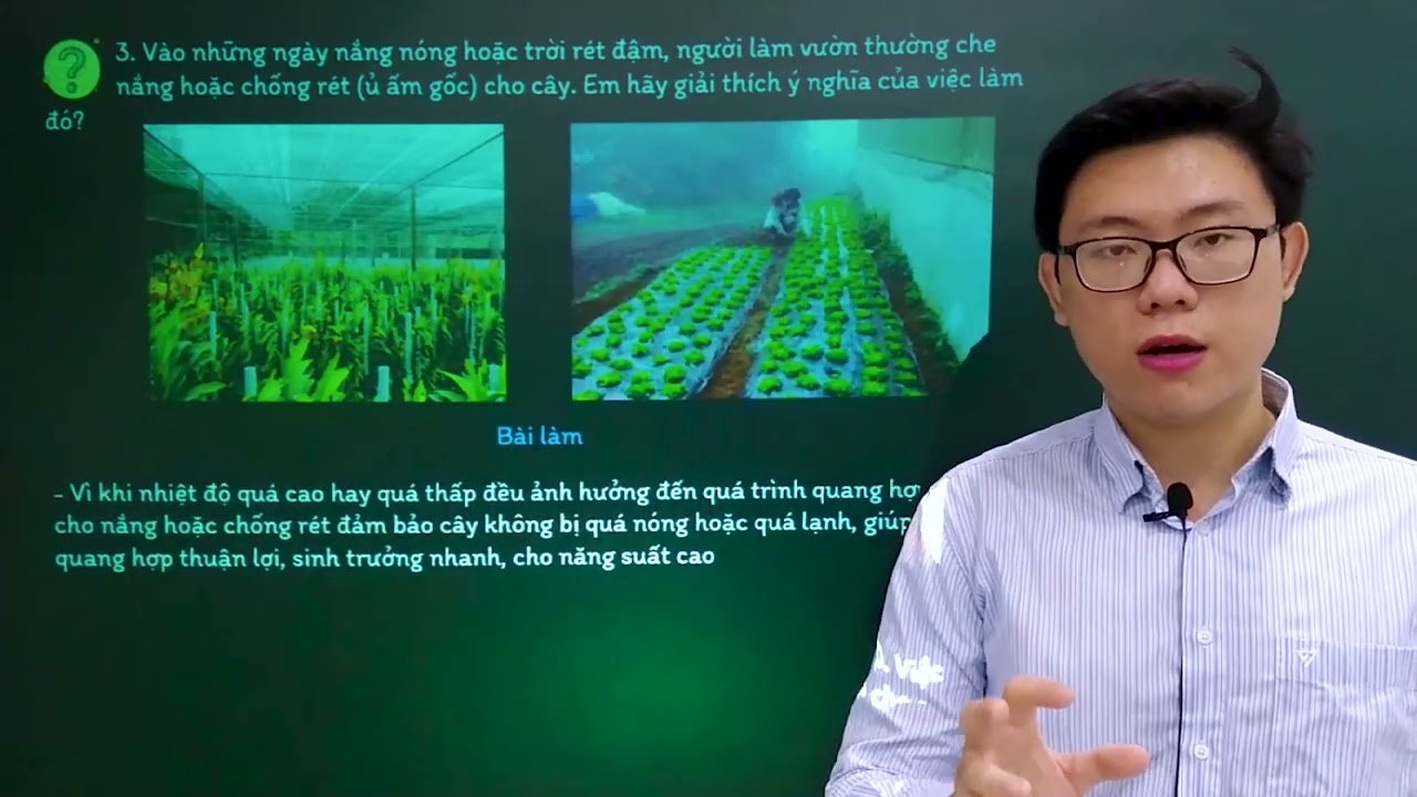Khoa học tự nhiên lớp 7 - Bài 23: Một số yếu tố ảnh hưởng đến quang hợp - Kết nối tri thức