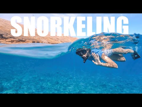 Video: Tempat Snorkeling Terbaik Maui