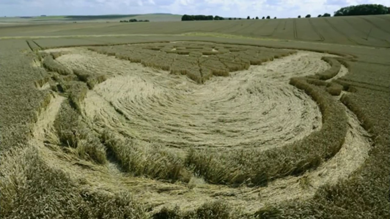 Crop Circles Quantum Physics