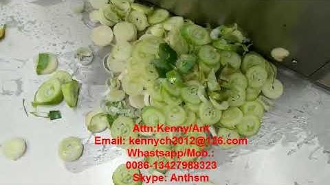 CH-20 green onion cutting slicing machine, celery cutter slicer