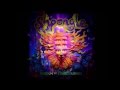 Shpongle - Museum of Consciousness [Full album]