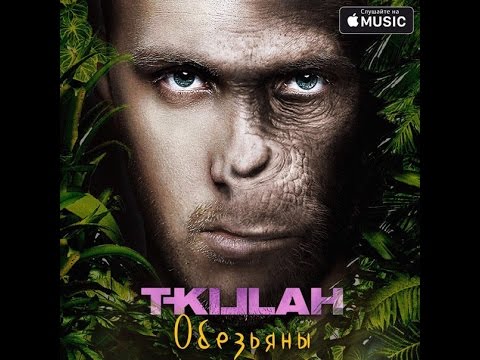 Караоке TV - Обезьяны (T-killah) 0038