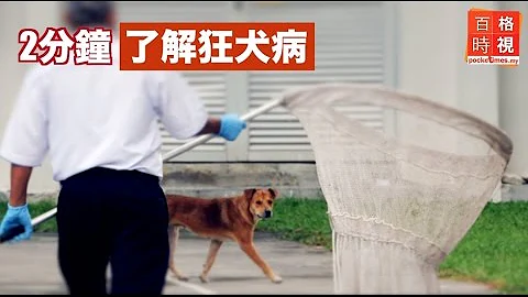 2分钟 了解狂犬病 - 天天要闻