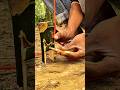 Tips and tricks for making unique bamboo traps, #survival