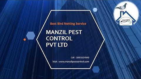 Manzil pest control pvt ltd | bird netting services , balcony net , pigeon net | call : 18001024540