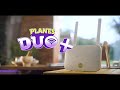 Plan DUO +