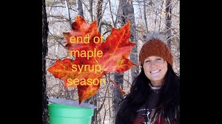 end of maple syrup season | how to make maple syrup part four