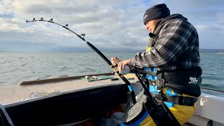 Sea Fishing UK - Small Boat Big Fish - Over 1000lb of fish in 3 hours!!! | The Fish Locker by The Fish Locker 111,382 views 4 months ago 31 minutes