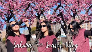 Sakura Szn is Here | Japan Vlog S03 Ep 10