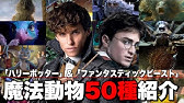 ハリーポッター 動物もどきになる方法 解説 まとめ Youtube