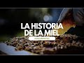 La VERDADERA Historia de La MIEL de Abeja | Documental 🐝