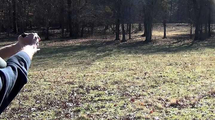 175 yard shot with pistol upside down. Tribute to Bob Munden.