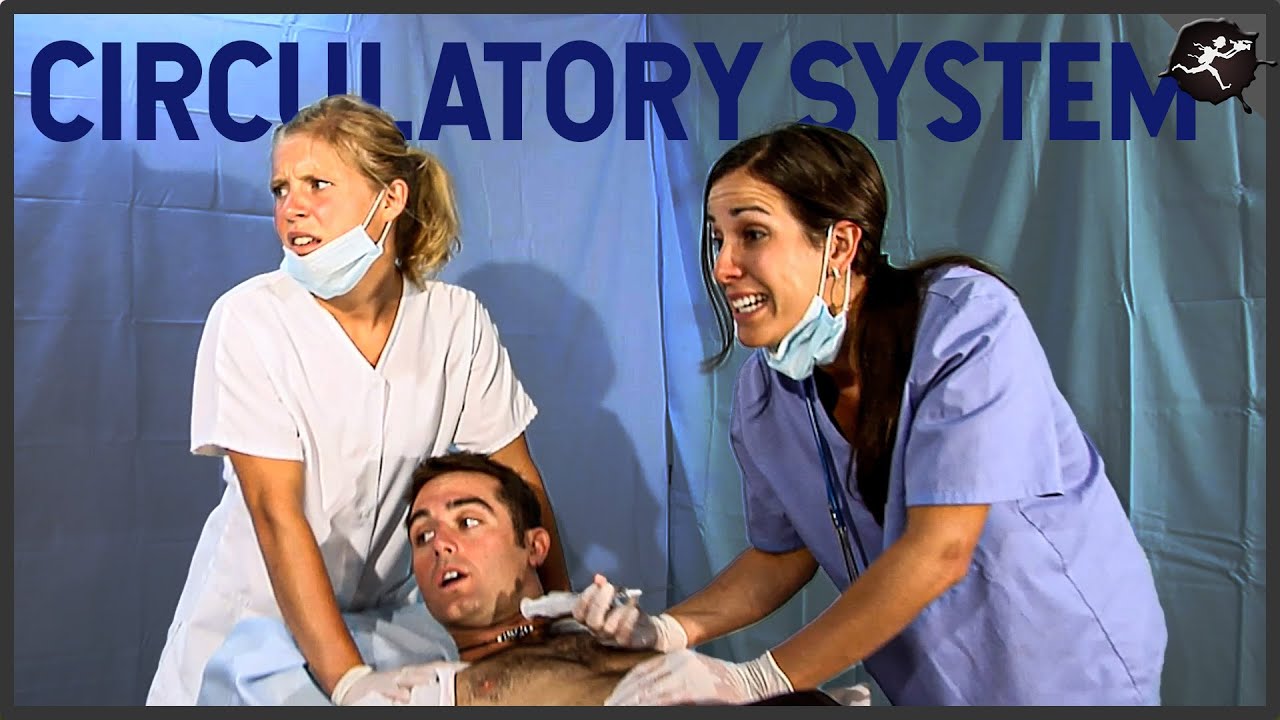 The Circulatory System - A Middle Grade Science Video by UntamedScience