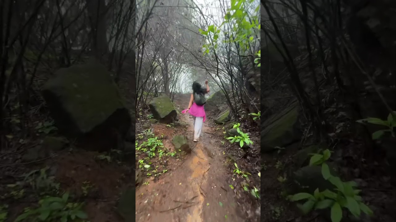 📍Aadrai Jungle Trek