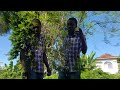 Dappa laing - What did you see 