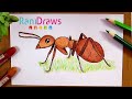 Cómo dibujar una HORMIGA - Paso a paso