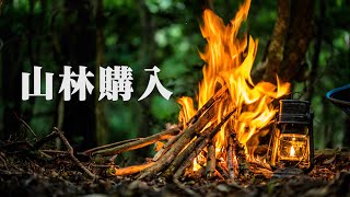 【山林購入🌲】自分の山でソロキャンプ(野営)🔥焚き火ステーキを森で食べる🥩富士山タイムラプスも🗻