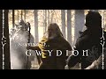 Faun &amp; Eluveitie - Gwydion (Making Of)